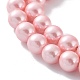 Chapelets de perles en coquille BSHE-L025-06-8mm-6