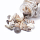 Natürliche Muschel Perlen X-SSHEL-Q300-077-B-3