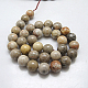 Natural Fossil Coral Beads Strands G-G212-14mm-31-2