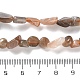Natürliche schwarze Sonnensteinperlenstränge&nbsp;G-P497-01C-16-5