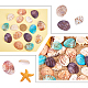 Perles de coquillage naturel teintées BSHE-PH0003-02-7
