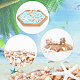 Arricraft decorazioni cabochon in resina di conchiglie naturali e stelle marine SHEL-AR0001-13-3