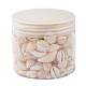 Natürliche Kaurimuschel Perlen BSHE-CJ0002-01-7