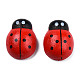 Dyed Beetle Wood Cabochons with Label Paster on Back WOOD-R255-04-4
