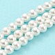 Brins de perles de coquillages naturels galvanisés SHEL-F008-03A-01-2