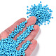 Baking Paint Glass Seed Beads SEED-S001-K10-4