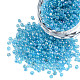 Perles de rocaille en verre rondes SEED-A007-2mm-163-1