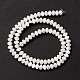 Chapelets de perles de coquille de trochid / trochus coquille SSHEL-O001-24A-02-2
