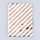 Bolsas de papel ecológicas con patrón de rayas diagonales AJEW-M207-F01-01-1
