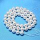 Round Shell Pearl Bead Strands BSHE-L011-14mm-A013-2