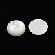 Cabochons de coquillage blanc naturel SSHEL-M022-01C-2