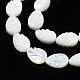 Chapelets de perles de coquille de trochid / trochus coquille SSHEL-N034-135A-01-3