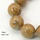 Gemstone Beads Strands G-G198-2-1
