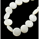 Chapelets de perles de coquillage naturel X-PBB-XXBK023Y-13-1