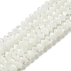 Brins de perles rondelles en coquille de troca naturelle SSHEL-H072-01B-1