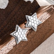 Латунь серьги EJEW-D288-14P