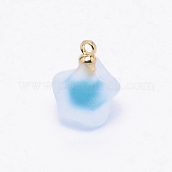 Pendentifs givrés en résine&nbsp;MP-TAC0009-03I