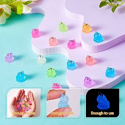 30 pièce 6 styles pendentif en résine transparente tortue pendentif en résine lumineuse bricolage accessoires décoratifs&nbsp;JX868A