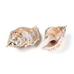 Große Anhänger aus galvanisierten natürlichen Muscheln&nbsp;SSHEL-T018-01