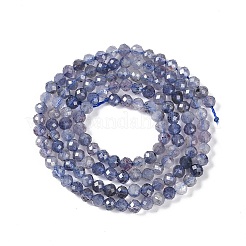 Naturperlen Stränge iolite&nbsp;G-N342-32