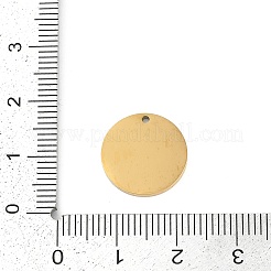 Ciondoli in acciaio inossidabile 304&nbsp;STAS-I325-133G