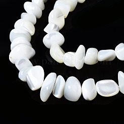 Natürliche Trochidschale / Trochusschalenperlenstränge&nbsp;SSHEL-N034-78-A01