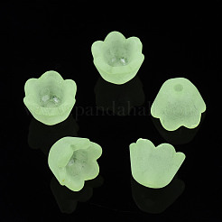 Transparente Acryl Perlen&nbsp;X-FACR-N005-001