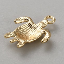Echte 14 Karat vergoldete Messing Charms&nbsp;FIND-WH0170-54I