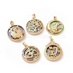 Natürliche Abalone Muschel / Paua Muschel Anhänger&nbsp;BSHE-I014-G