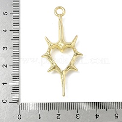 Legierung große Anhänger & Charms&nbsp;FIND-L025-16G