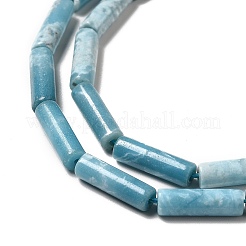 Fili di perline di gemstone naturale&nbsp;G-F730-01