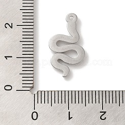 Ciondoli in acciaio inox 304&nbsp;STAS-C110-06P