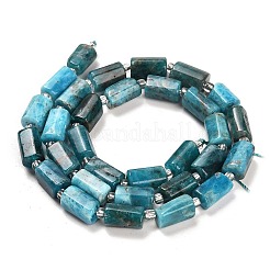 Perline apatite naturale fili&nbsp;LS-G-G068-A11-01