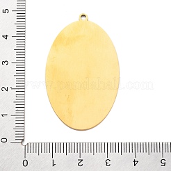 Pendentifs en acier inoxydable 304&nbsp;STAS-M099-02G