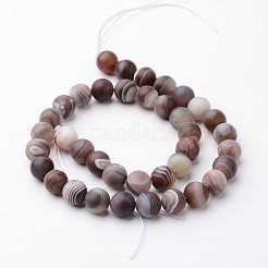 Botswana naturali agata fili di perle&nbsp;G-J376-09F-10mm