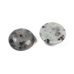 Natürliche Sesam-Jaspis-Cabochons&nbsp;G-T020-18mm-44