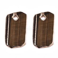 Pendentifs en œil de tigre naturel&nbsp;G-N0326-61G