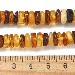 Naturbernsteinperlen Stränge&nbsp;G-K387-C01-01