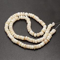 Fili di perline conchiglia rossa a spirale conchiglia naturale a fagiolo&nbsp;SHEL-E355-20