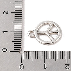 Pendentifs en alliage de style tibétain&nbsp;TIBE-Q090-21AS