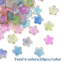 120 Stück transparente Perlenkappen aus Acryl in 6 Farben.&nbsp;TACR-YW0002-44