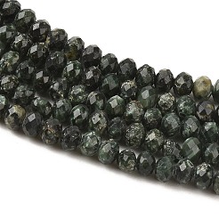 Naturperlen Stränge SERAPHINITE&nbsp;G-K376-E06-4x6mm