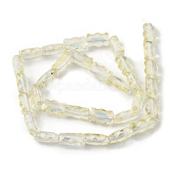 Chapelets de perles en verre électroplaqué&nbsp;EGLA-L045-F-HR02