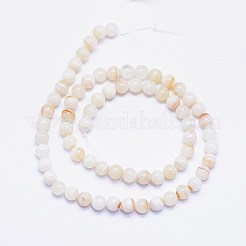 Chapelets de perles en agate à rayures naturelles&nbsp;X-G-F425-19