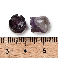 Natürlichen Amethyst Perlen&nbsp;G-G109-01B