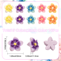 50 Stück 5 Farben undurchsichtige Harz-Cabochons&nbsp;FIND-SC0020-81