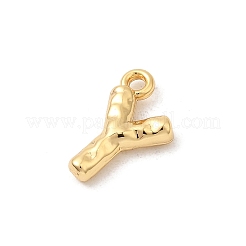 Breloques en laiton&nbsp;KK-P340-01G-Y