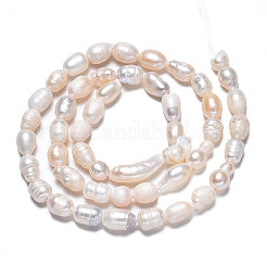 Fili di perle di perle d'acqua dolce coltivate naturali&nbsp;X-PEAR-N012-05C