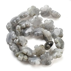 Natur Labradorit Perlen Stränge&nbsp;G-F769-P01-01