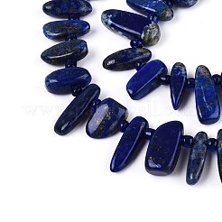 Natürlicher Lapislazuli Perlenstränge&nbsp;G-Z091-A23